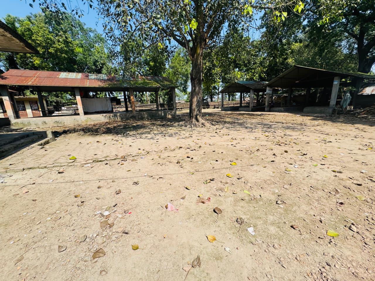 Baradi Union Goat Hat