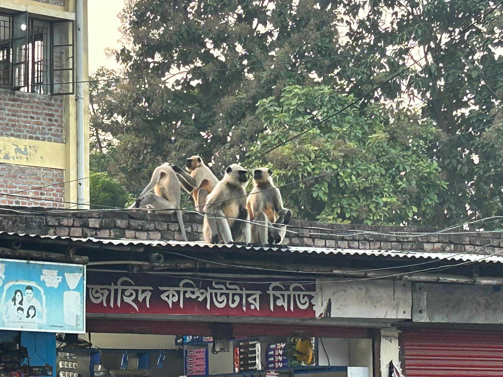 Court Bazar, Meherpur Pourashava