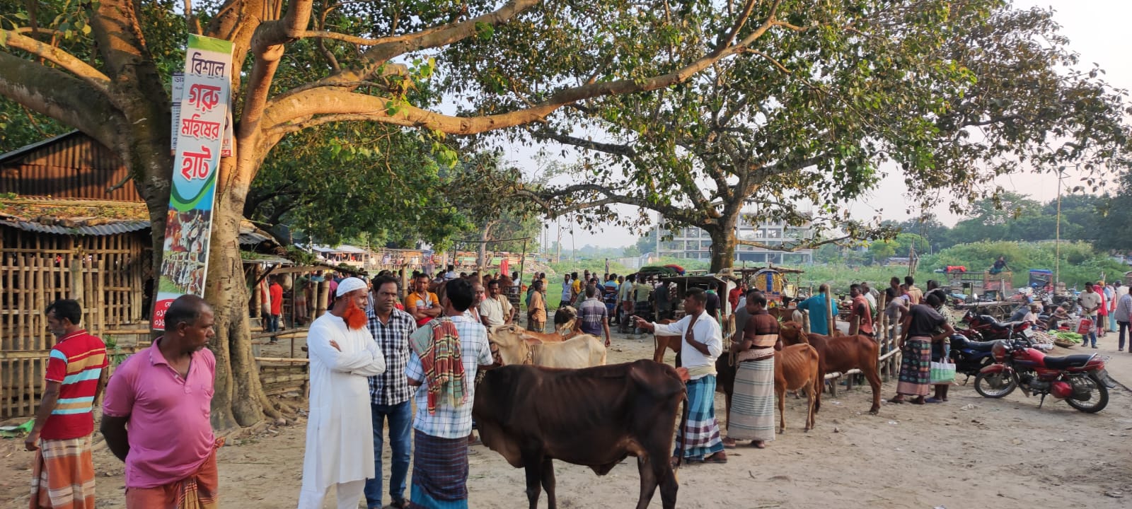 Meherpur Pourashava Hat